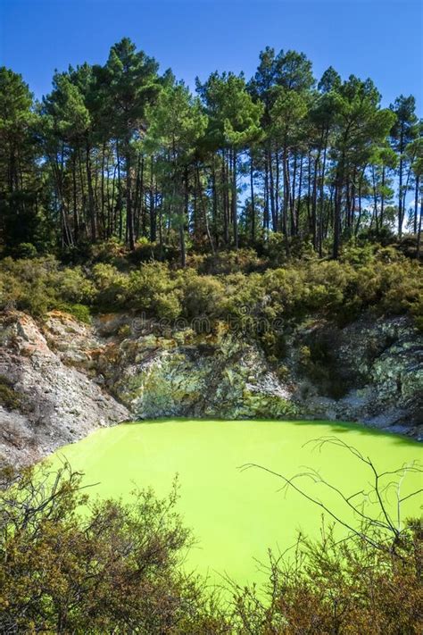 Green Lake In Waiotapu Rotorua New Zealand Stock Photo Image Of