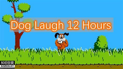 Duck Hunt Dog Laugh 12hours Fcnes Game Youtube
