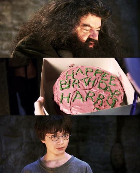 Hagrid And Harry Harry Potter Birthday Cake Harry Potter Cake Harry