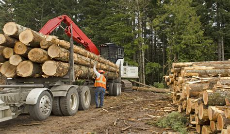 Cutting Through The Competition With Automated Forestry Operations
