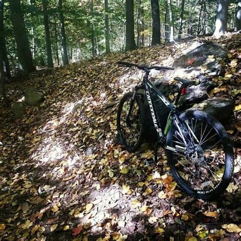 The Best Mountain Bike Trails In The Northeast City By City