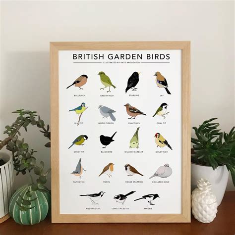 Garden Bird Print British Garden Birds Poster Wildlife Wall Art