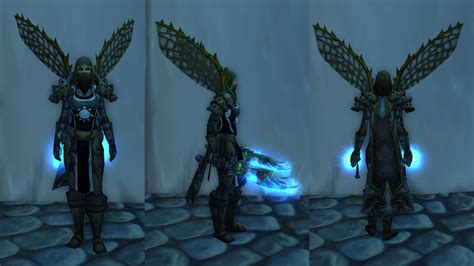 Transmog To Fit My New Wings Transmogrification