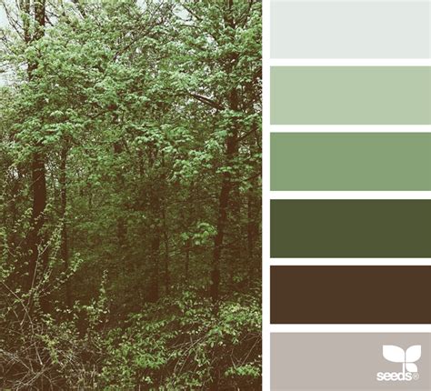 Woodsy Hues Brown Color Palette Brown Color Schemes House Colors