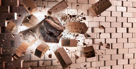 8670 Breaking Wall Stock Photos Free And Royalty Free Stock Photos