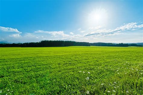 Green Field Landscape Free Photo Download Freeimages