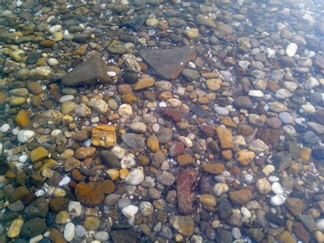 Free Picture Pebbles River Clear Water