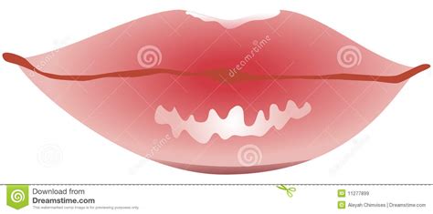 pink glossy lips stock vector illustration of lady pink 11277899