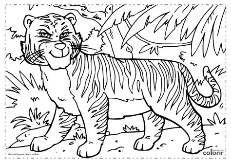 Desenhos De Tigres Para Colorir