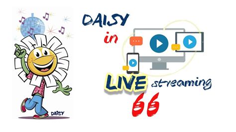 Daisy Streaming 66 Youtube