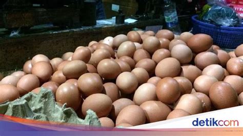 Ia mengatakan, harga ayam potong mulai mengalami penurunan sudah terjadi setelah lebaran 2019, hingga terakhir puncaknya pada bulan ini rp 6.000 per kilo. Harga Telur Ayam Ikutan Naik, Sekarang Rp 28.000/Kg