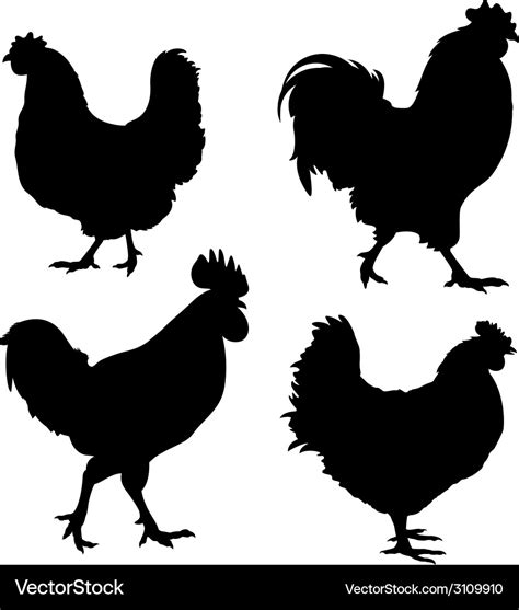 chicken silhouette royalty free vector image vectorstock