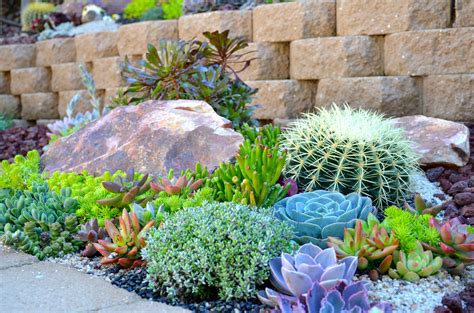 Succulent Tapestry Installation In Mthelix Ca Designerlaura Eubanks