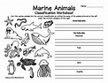 Marine Animal Classification Worksheet by Rebecca Burk Illustrations