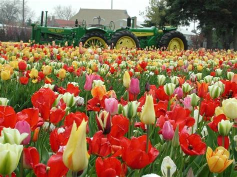 Hours may change under current circumstances C D E Learning: Glenda's Flowers Holland Mi / Seasonal ...