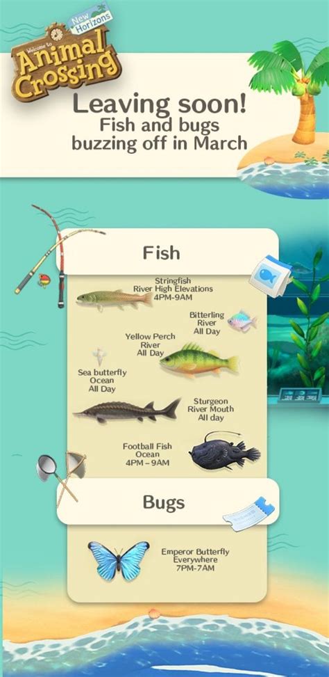 Acnh Fish Guide February Will Dewitt