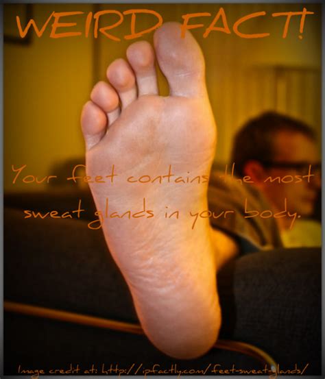 Your Feet Contains The Most Sweat Glands In Your Body Always Learning