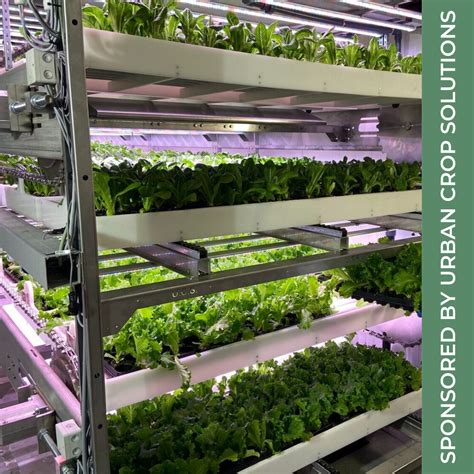 Newly Launched Vertical Farming System Is Focused On Achieving