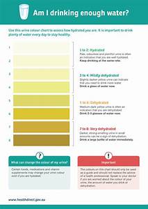 Urine Colour Chart Healthdirect How To Stay Healthy Color Chart Chart