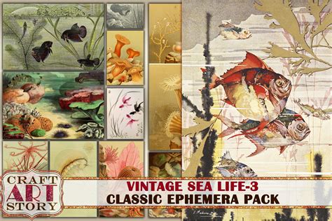 Sea Life Ephemera Pack 3 Under The Sea Graphic By Craftartstory