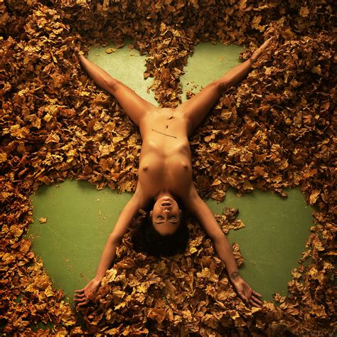 Joy Lamore Autumn Nude Met Art Picture