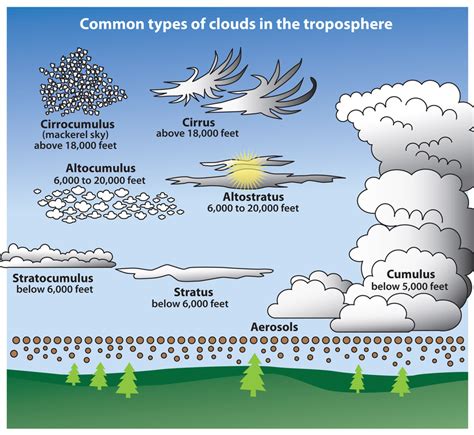 Overview Of Cloud Types Whats That Cloud