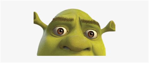 Shrek Meme Background For Zoom The Perfect Zoom Call Background Doesn