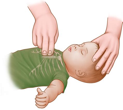 Cpr For Infants Up To 12 Months Step By Step Guide