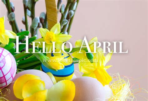 Easter Decor Hello April Quote Pictures Photos And Images For