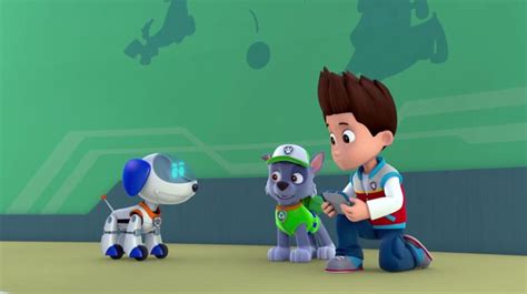 Robo Doggallerypups Save The Paw Patroller Paw Patrol Wiki Fandom