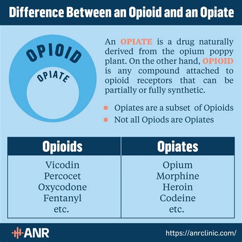 Are All Opiates The Same Recovery Ranger