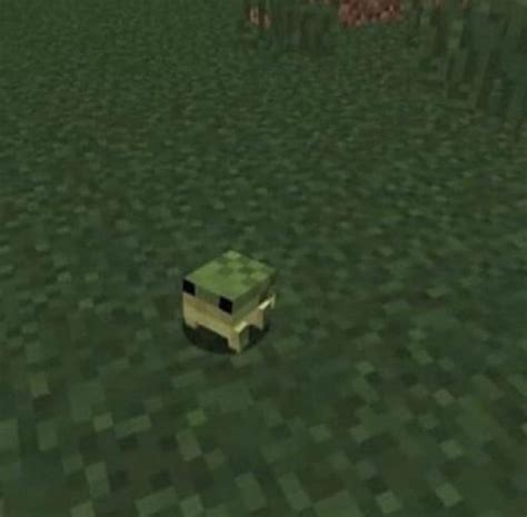 Mod That Adds Frogs That Are Very Small And Simple Minecraft