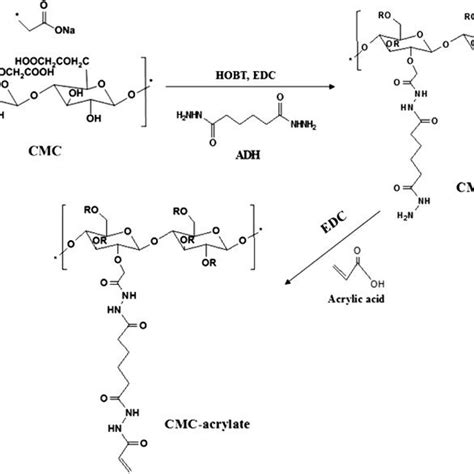 Schematics Of Cmc Acrylate Synthesis By Sequential Graftings Of Adh And