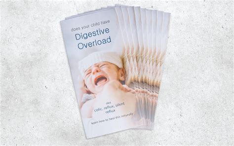 Digestive Overload Explained Pamphlets Pamphlet Shop Babycues