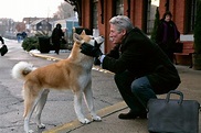 Las diez mejores películas sobre perros de todos los tiempos - Animalados