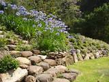 Pictures Of Rock Landscaping Pictures