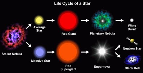 Star Life Cycle And Special Characteristics Of The Stars In Space