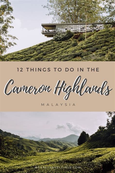 On easter sunday, he attended church and had lunch at his hosts' cottage. The 12 Best Things To Do In The Cameron Highlands | We Are ...