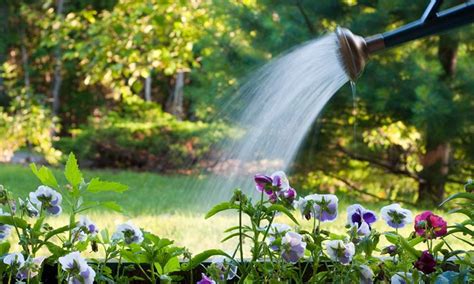 Om Goed Te Kunnen Beoordelen Of Er Water Gegeven Moet Worden In De Tuin Is Voor Veel Mensen Erg