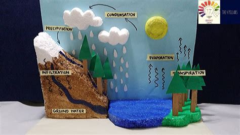 Water Cycle Model Water Cycle Project Water Cycle Model 3d