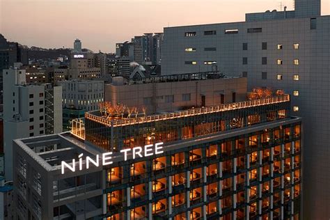 Check spelling or type a new query. Nine Tree Premier Hotel Myeongdong II - UPDATED 2018 ...