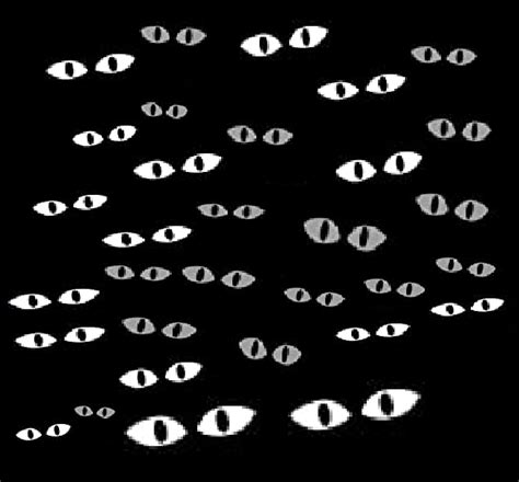 Royalty Vector Stock Set Of Spooky And Scary Eyes In The Dark