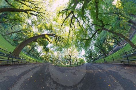 15 Panoramic Photos That Will Change Your View Of The World