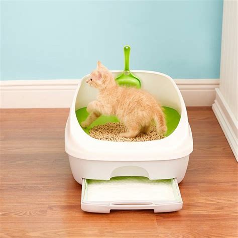 Buy Tidy Cats Breeze Cat Litter Box System At Free Shipping