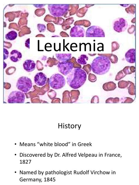 Leukemia Ppt Leukemia Haematopoiesis