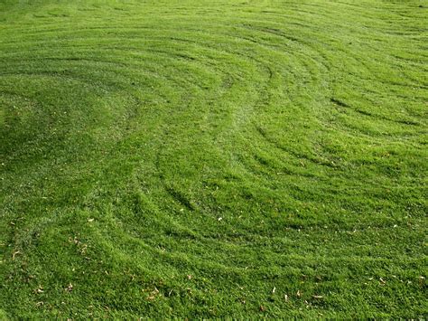 Grass Pattern Free Photo Download Freeimages