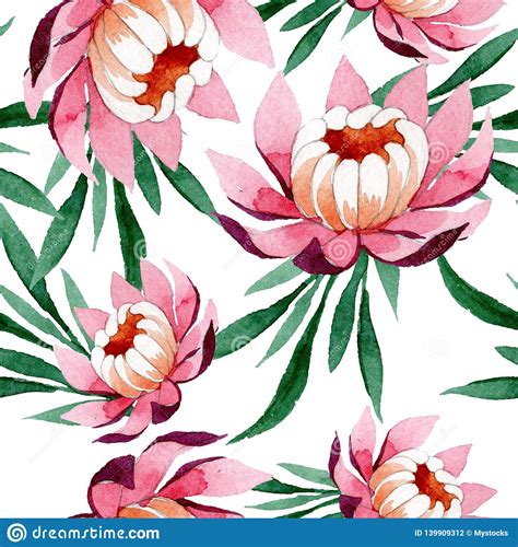 Pink Lotus Ornament Floral Botanical Flower Watercolor Background