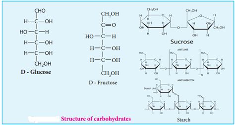 Biomolecules Of Carbohydrates