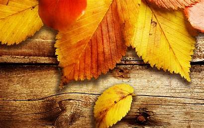 Autumn Leaves Wallpapers Desktop Cool Backgrounds