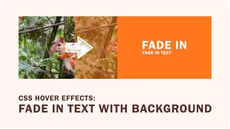 Css Hover Effects Fade In Text With Background Youtube